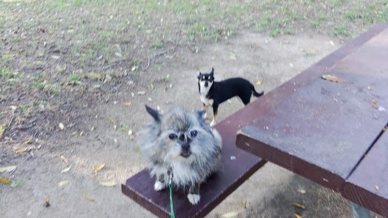 Stow Grove Park - Goleta, CA