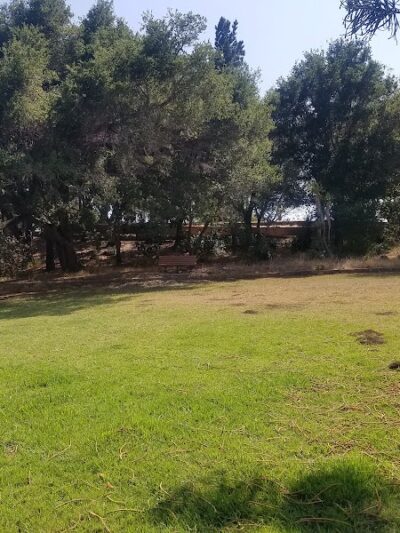 Tarragona Open Space - Goleta, CA