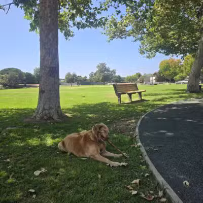 Evergreen Park - Goleta, CA