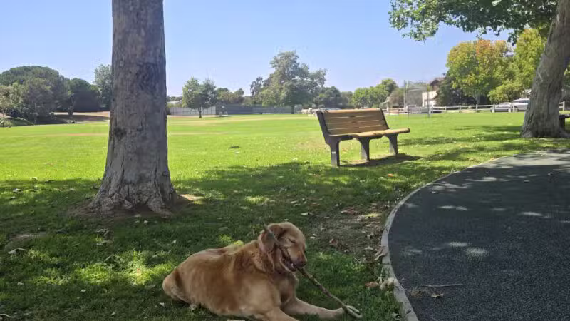 Evergreen Park - Goleta, CA