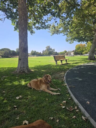Evergreen Park - Goleta, CA