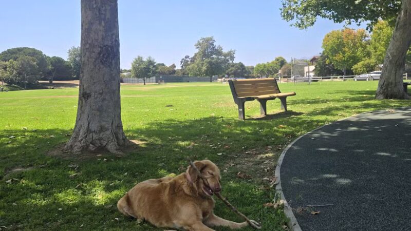 Evergreen Park - Goleta, CA