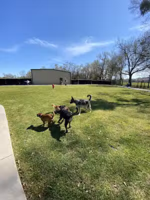 City Of Gonzales Dog Park - Gonzales, LA