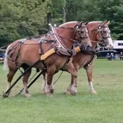 Goodells County Park East Entrance - Goodells,