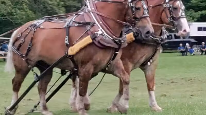 Goodells County Park East Entrance - Goodells,
