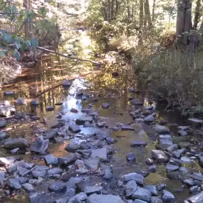 Goodells County Park East Entrance - Goodells,