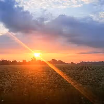 Wales Township Park - Goodells,