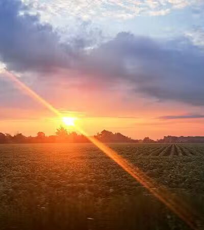 Wales Township Park - Goodells,