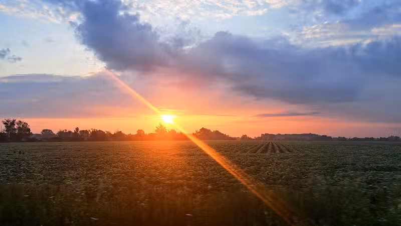 Wales Township Park - Goodells,