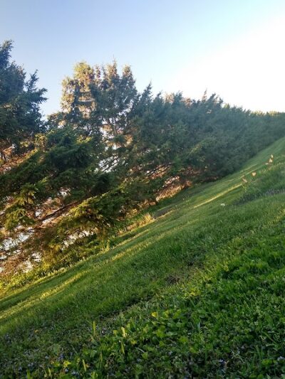 Rosie Park - Goodhue, MN