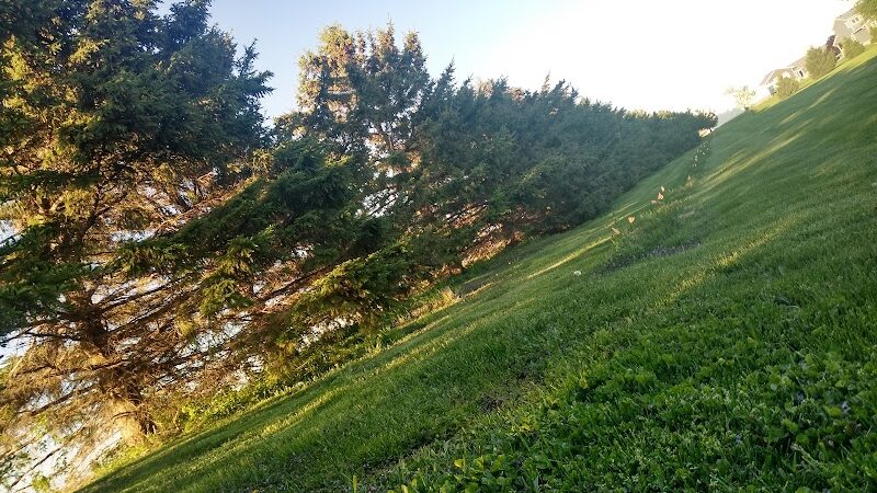 Rosie Park - Goodhue, MN