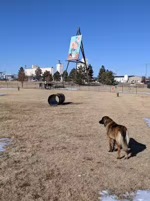 Pioneer Dog Park - Goodland, KS