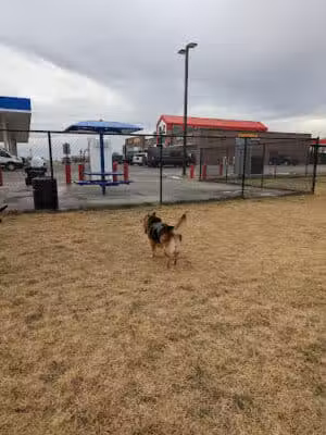 Prairie Dogs Dog Park - Goodland, KS