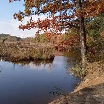 Atlas County Park - Goodrich, MI