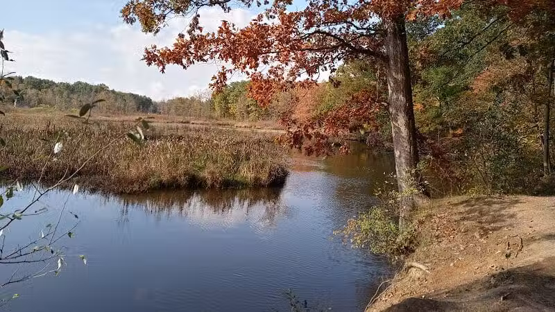 Atlas County Park - Goodrich, MI
