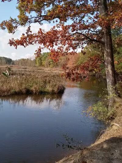 Atlas County Park - Goodrich, MI