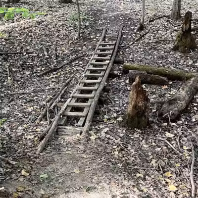 Atlas County Park - Goodrich, MI