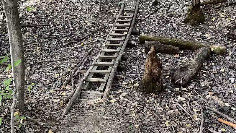 Atlas County Park - Goodrich, MI