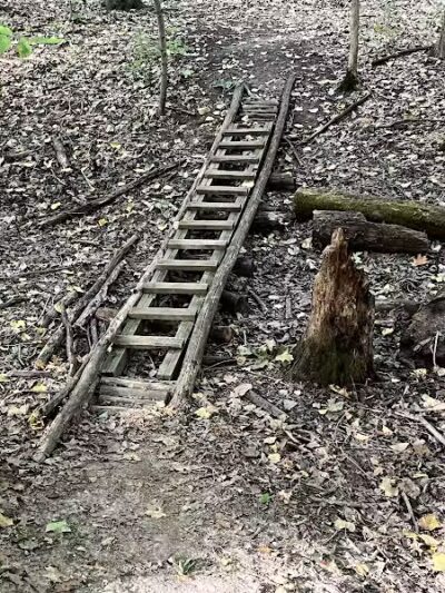 Atlas County Park - Goodrich, MI