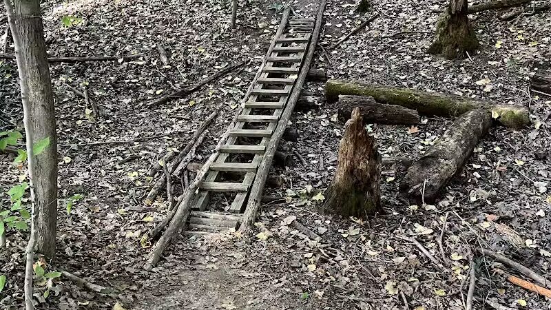 Atlas County Park - Goodrich, MI