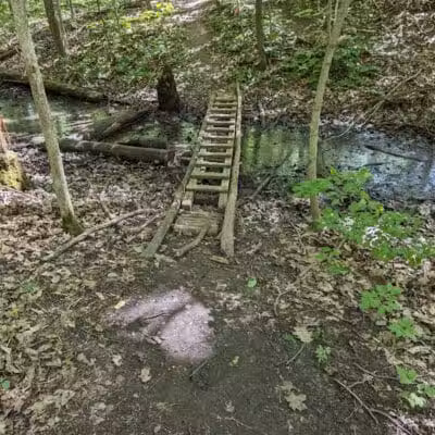 Atlas County Park - Goodrich, MI