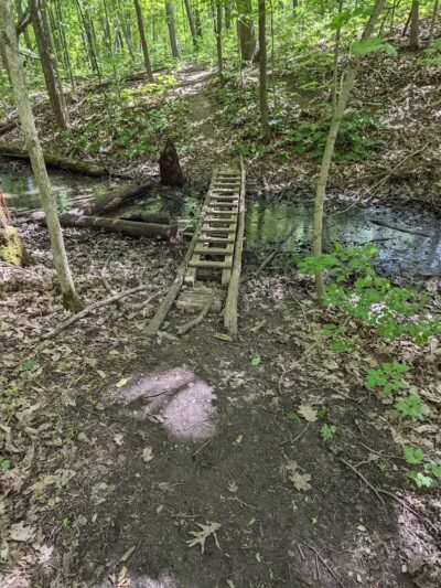 Atlas County Park - Goodrich, MI