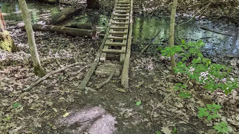 Atlas County Park - Goodrich, MI