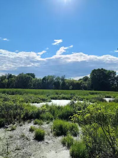 Atlas County Park - Goodrich, MI
