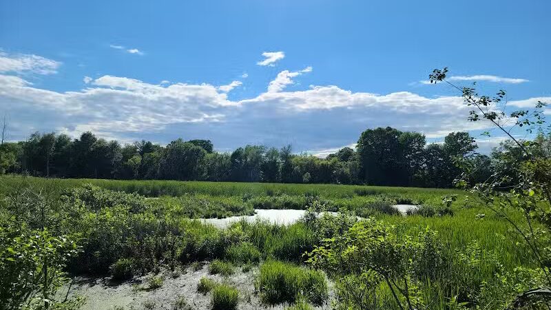 Atlas County Park - Goodrich, MI
