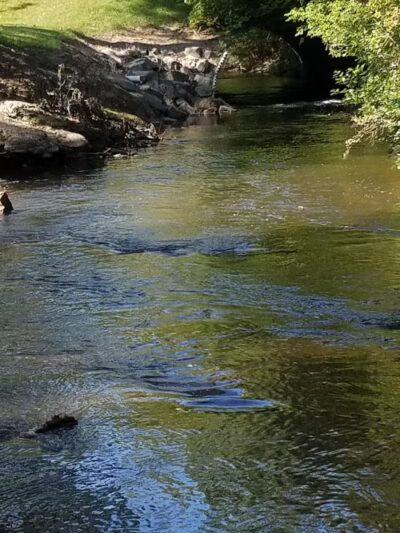 Goodrich Commons - Goodrich,