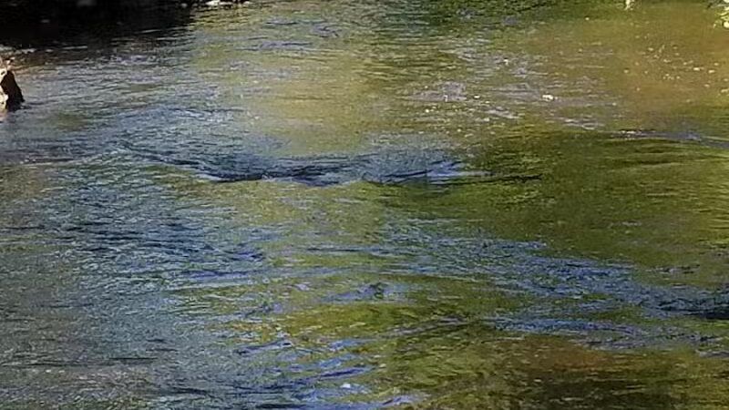 Goodrich Commons - Goodrich,