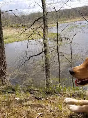 Atlas County Park - Goodrich, MI