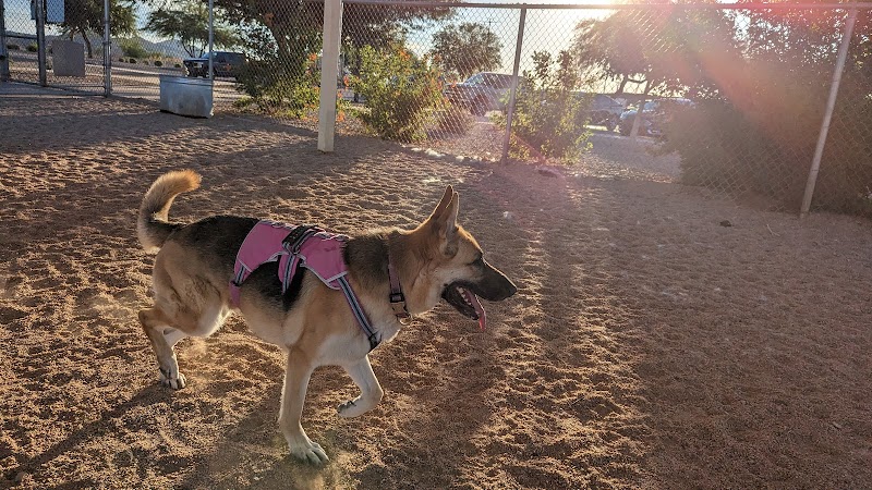 Roscoe, Goodyear, Dog Park - Goodyear, AZ