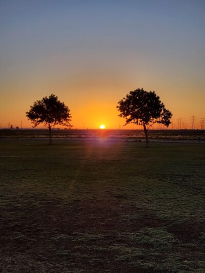 Roscoe, Goodyear, Dog Park - Goodyear, AZ
