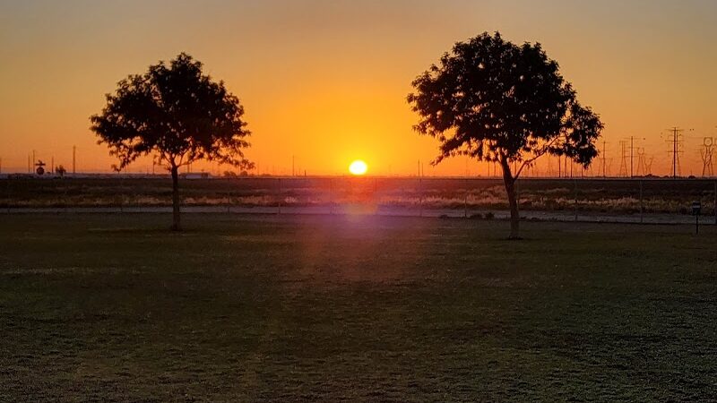 Roscoe, Goodyear, Dog Park - Goodyear, AZ