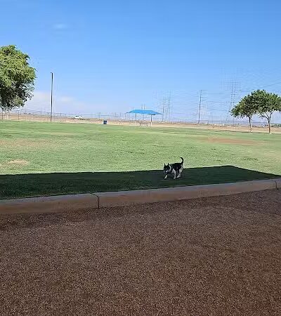 Roscoe, Goodyear, Dog Park - Goodyear, AZ