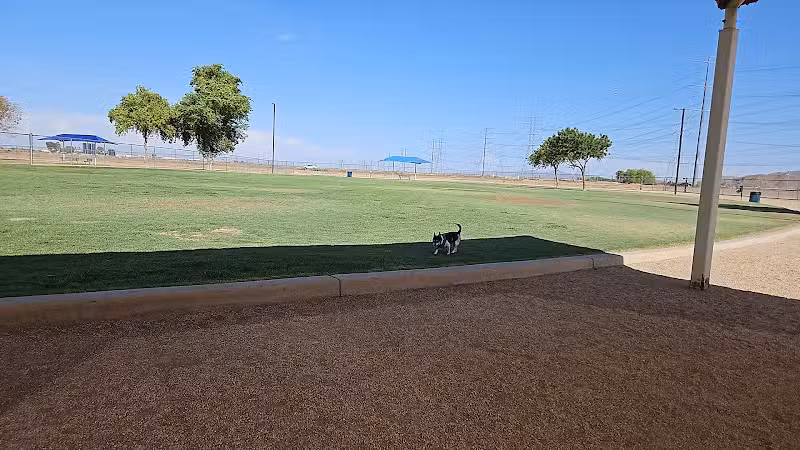 Roscoe, Goodyear, Dog Park - Goodyear, AZ