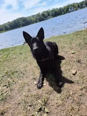 Dog Pond - Goshen, CT