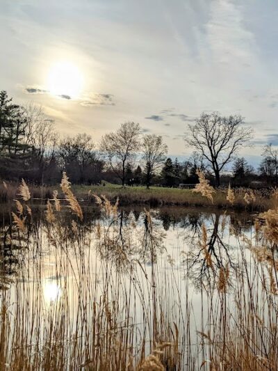 Goshen Dog Park - Goshen, NY