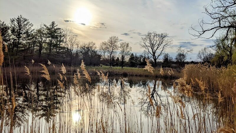 Goshen Dog Park - Goshen, NY