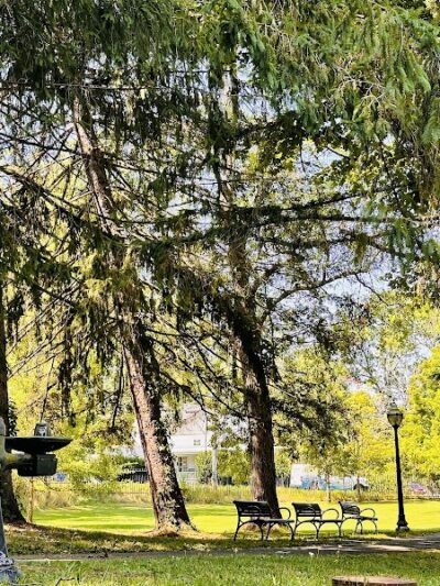 Goshen Dog Park - Goshen, NY