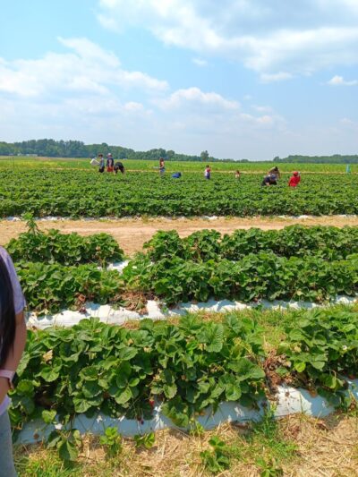 Salesian Park - Goshen, NY