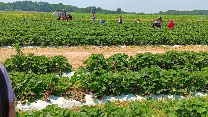 Salesian Park - Goshen, NY