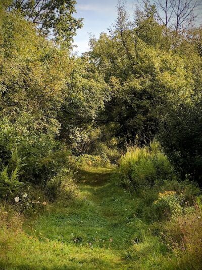 Salesian Park - Goshen, NY