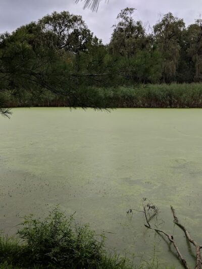 Salesian Park - Goshen, NY