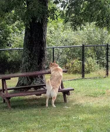 Salesian Park - Goshen, NY