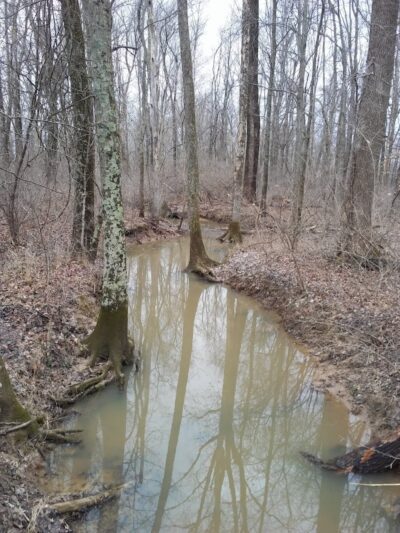 Flatwoods Park - Gosport, IN