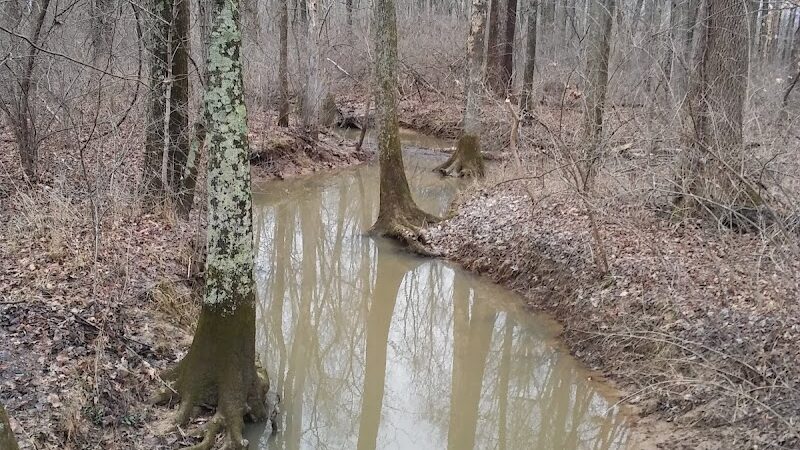 Flatwoods Park - Gosport, IN