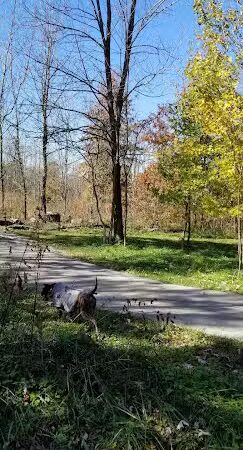 Flatwoods Park - Gosport, IN