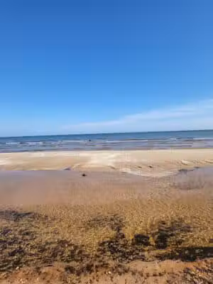 Scott Point Day Use Park - Gould City,